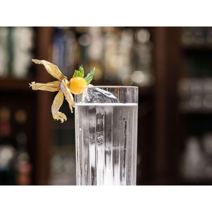 Mercure Hotel Frankfurt Airport Langen