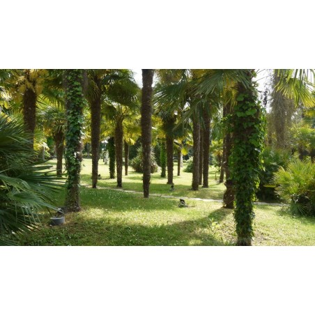 Domaine De Fompeyre