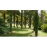 Domaine De Fompeyre