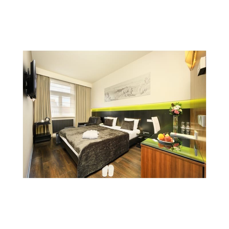 Hotel Ametyst