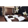Green Hotel Budapest