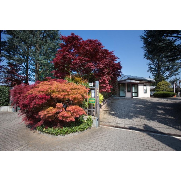 Airport Motel Malpensa