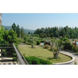 Alfredo Hotel