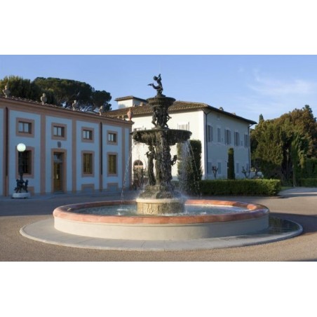 Villa Olmi Firenze