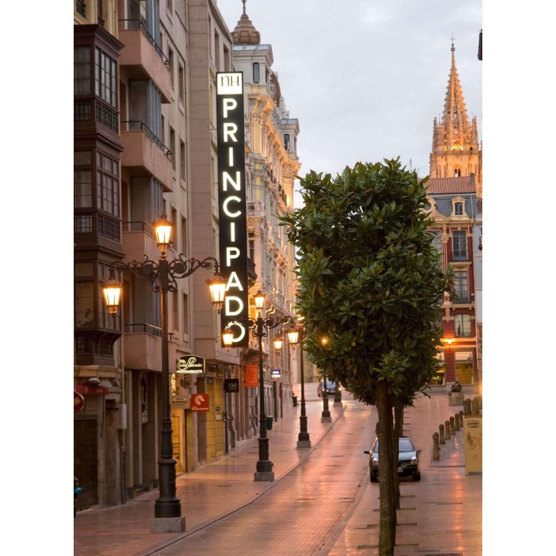 NH Oviedo Principado