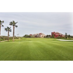 Isla Canela Golf