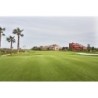 Isla Canela Golf
