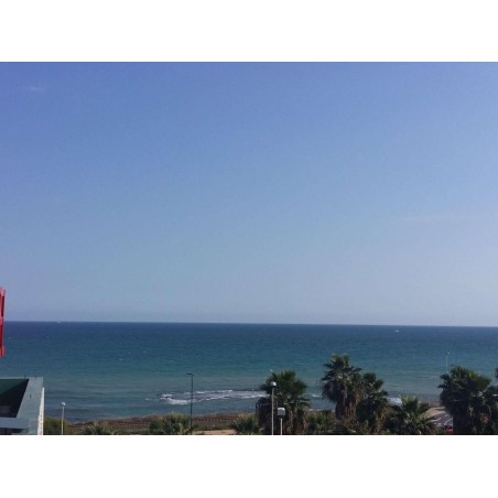 Ibis Alicante