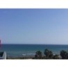 Ibis Alicante