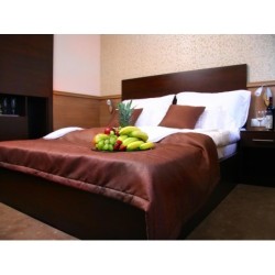 Central Hotel 21