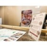 Aparthotel Globus
