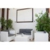B&B Albachiara
