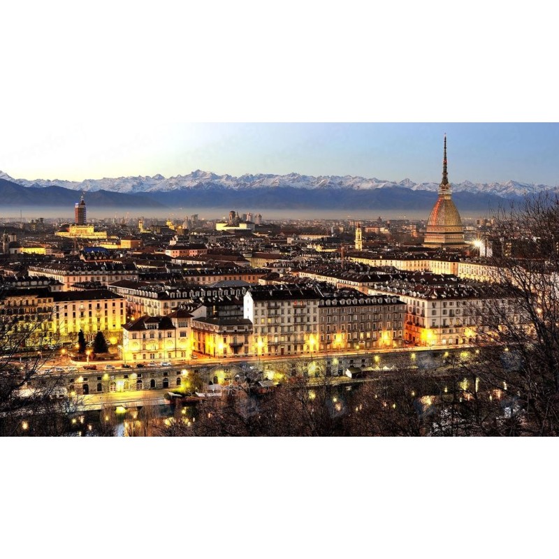 Turin Airport Hotel & Residence