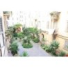 Campidoglio