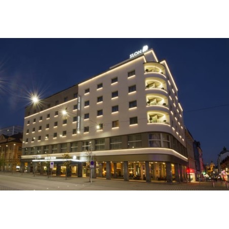Best Western Premier Hotel Slon