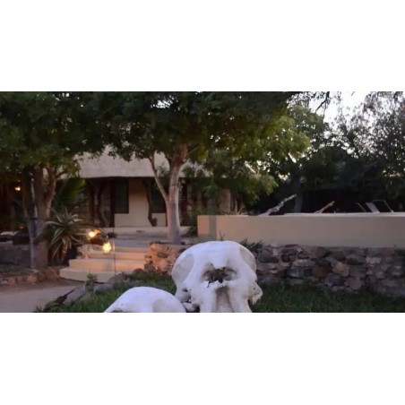 Kambaku Safari Lodge