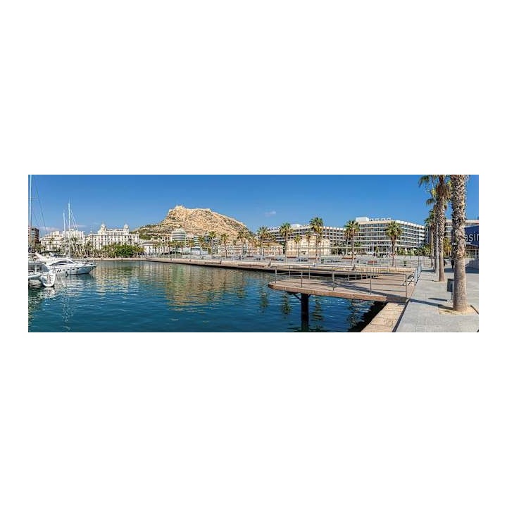 Hotel Meliá Alicante