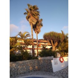Finca Colon