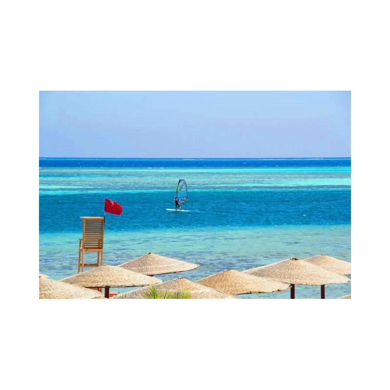 Sea Star Beau Rivage
