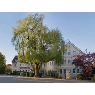 3 Tage Urlaub im Akzent Hotel Aufkirchen in Oberbayern mit Frühstück