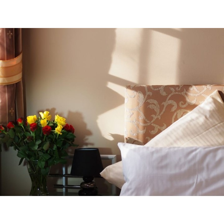 3 Tage Urlaub im Hotel am Schloss Biebrich in Wiesbaden mit Frühstück