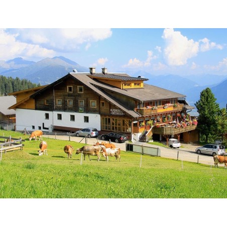 8 Tage Urlaub im Alpengasthof Bidner in Osttirol mit Halbpension