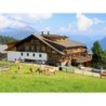 8 Tage Urlaub im Alpengasthof Bidner in Osttirol mit Halbpension