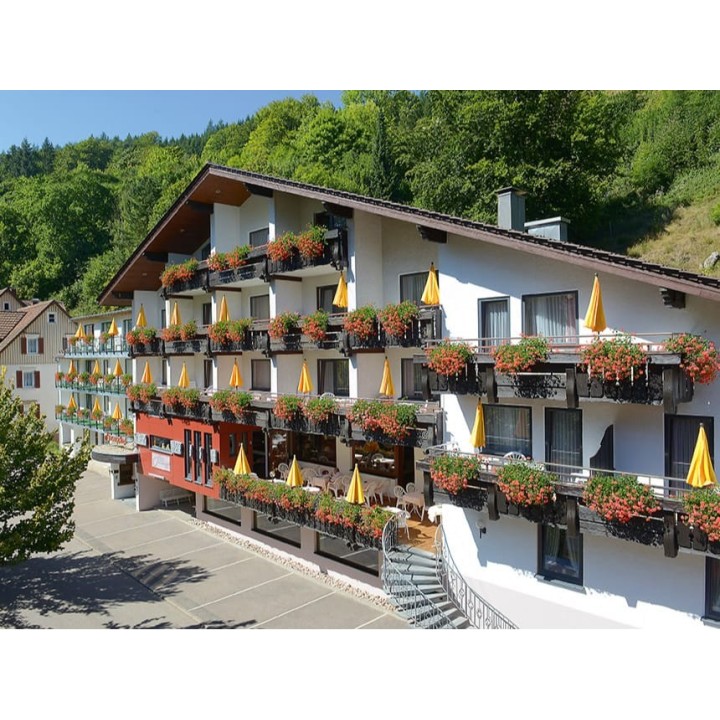 4 Tage Urlaub im Flair Hotel Sonnenhof im Schwarzwald mit Halbpension
