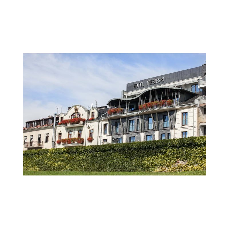 Niebieski Art Hotel & Spa