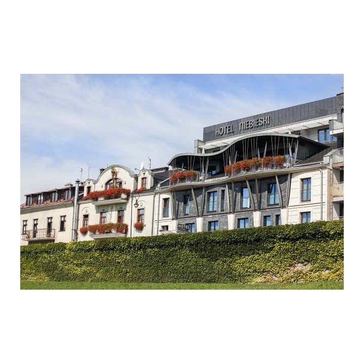 Niebieski Art Hotel & Spa