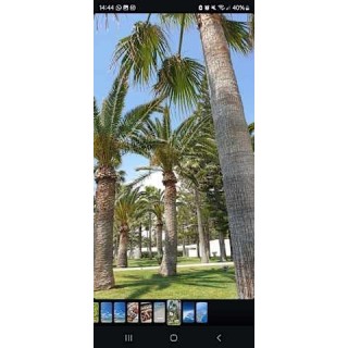 Chrysomare Beach Hotel & Resort