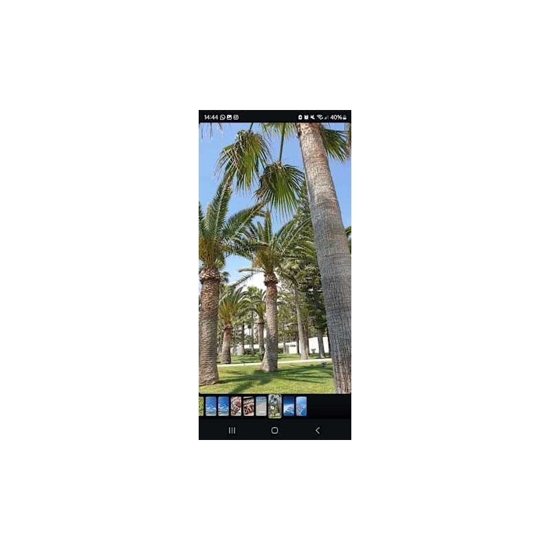 Chrysomare Beach Hotel & Resort