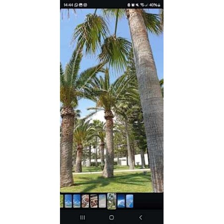 Chrysomare Beach Hotel & Resort