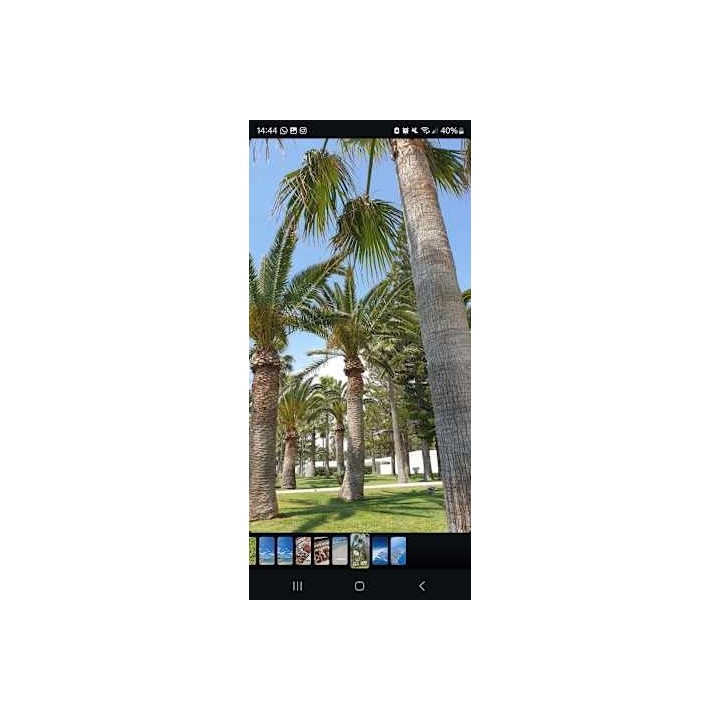 Chrysomare Beach Hotel & Resort