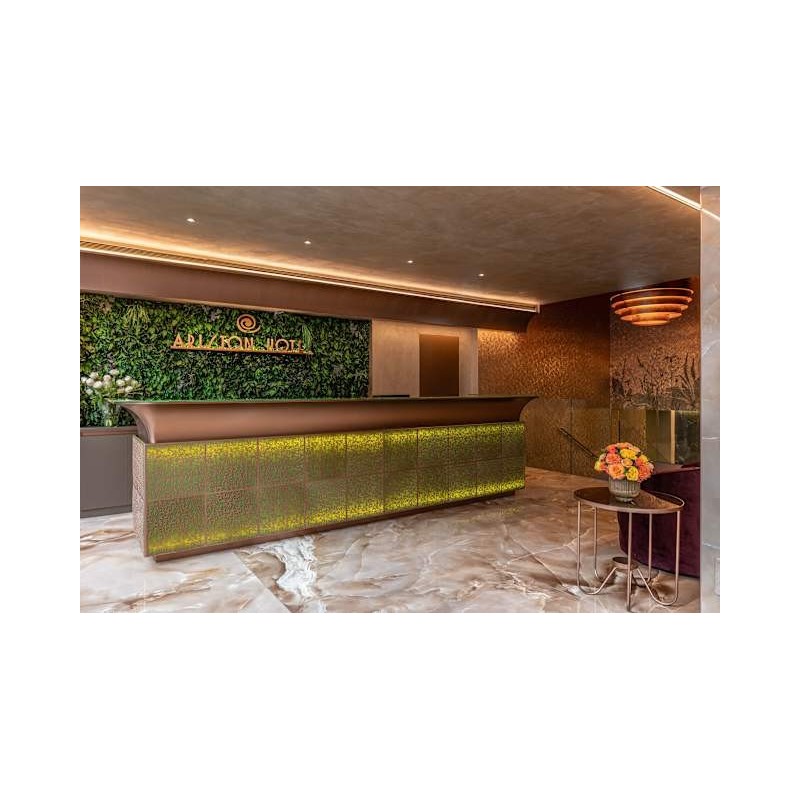 Hotel Ariston