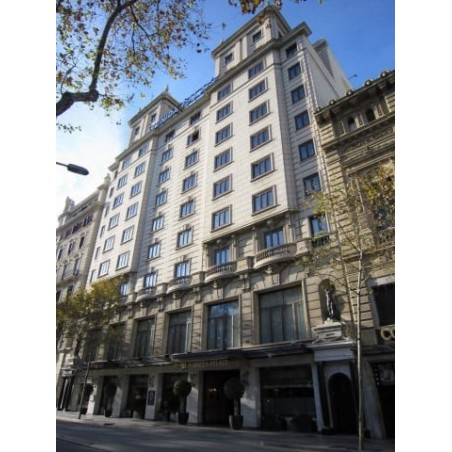 Hotel Avenida Palace