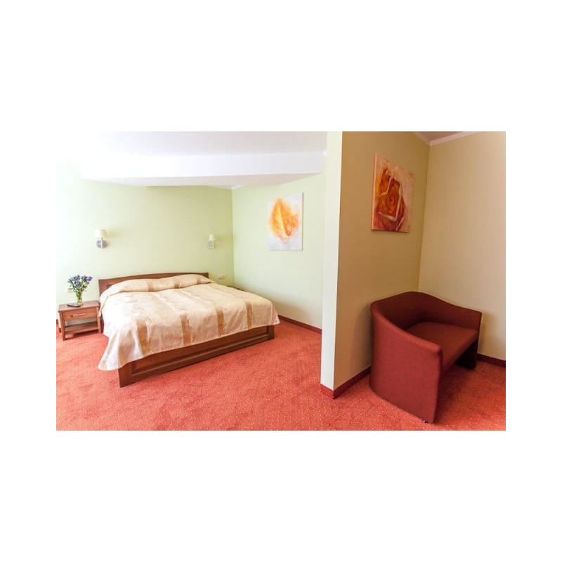 Hotel AirInn Vilnius