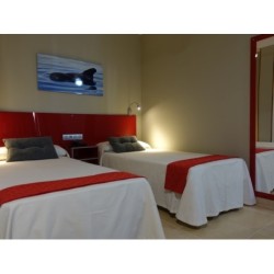 Hotel Andrea's