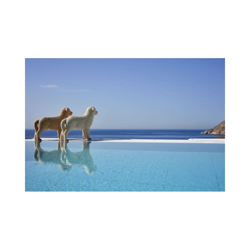 Hotel Royal Myconian Resort & Thalasso Spa