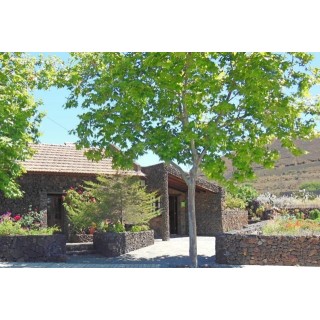 Casa Rural Aborigen Bimbache