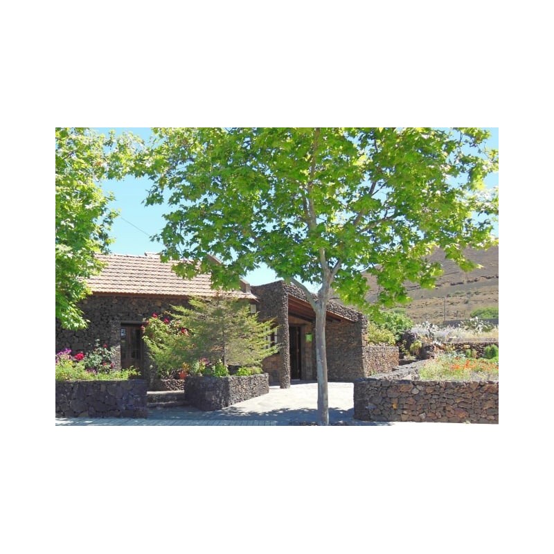Casa Rural Aborigen Bimbache