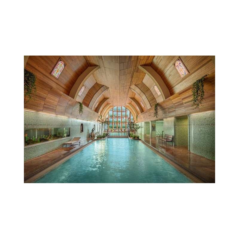 NaturMedHotel Carbona
