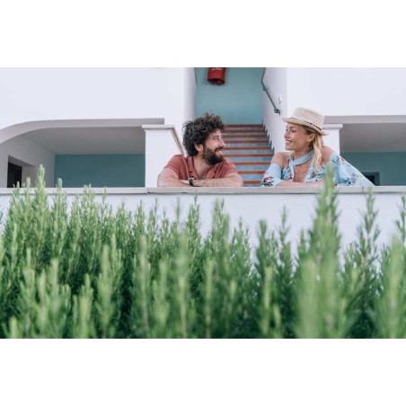Pietrablu Resort & Spa - CDSHotels