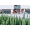 Pietrablu Resort & Spa - CDSHotels