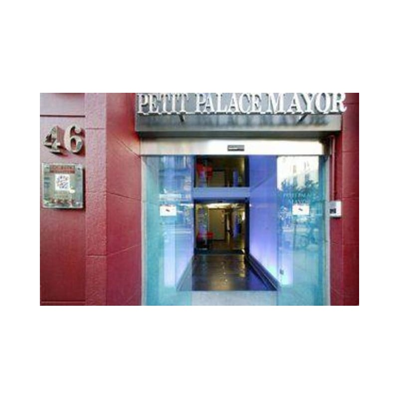 Hotel Petit Palace Mayor