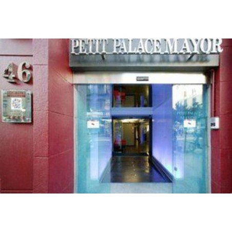 Hotel Petit Palace Mayor