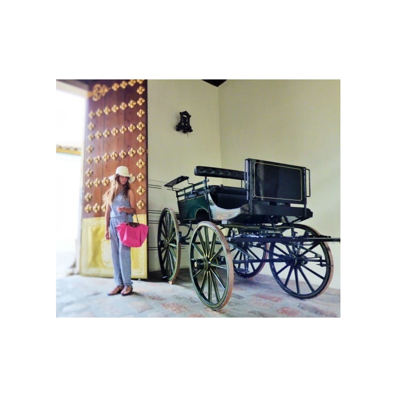 Hotel Las Casas de la Juderia