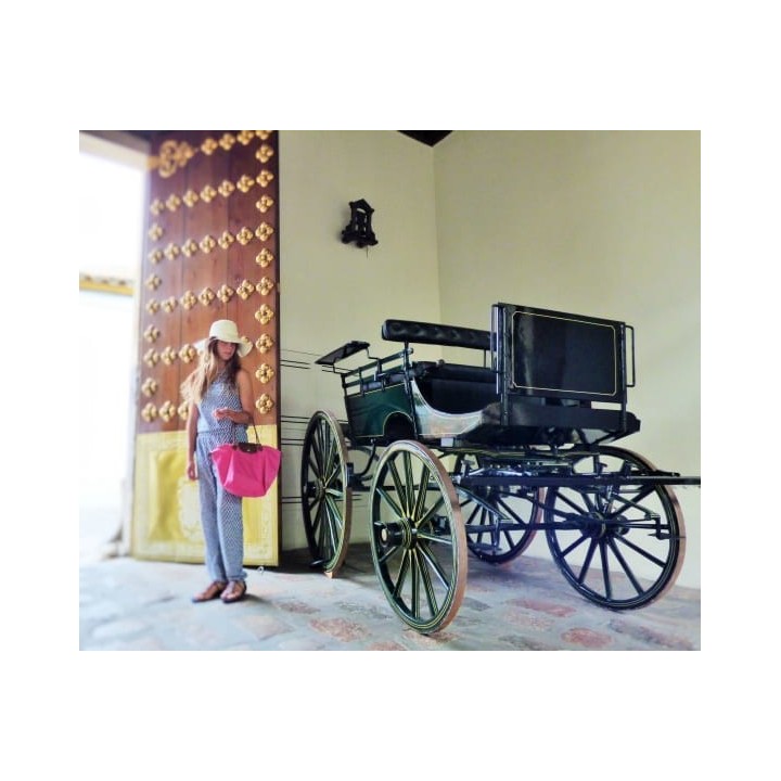 Hotel Las Casas de la Juderia