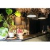 Hotel Atiram Internacional Ramblas Cool