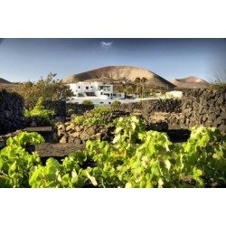 Finca de la Florida